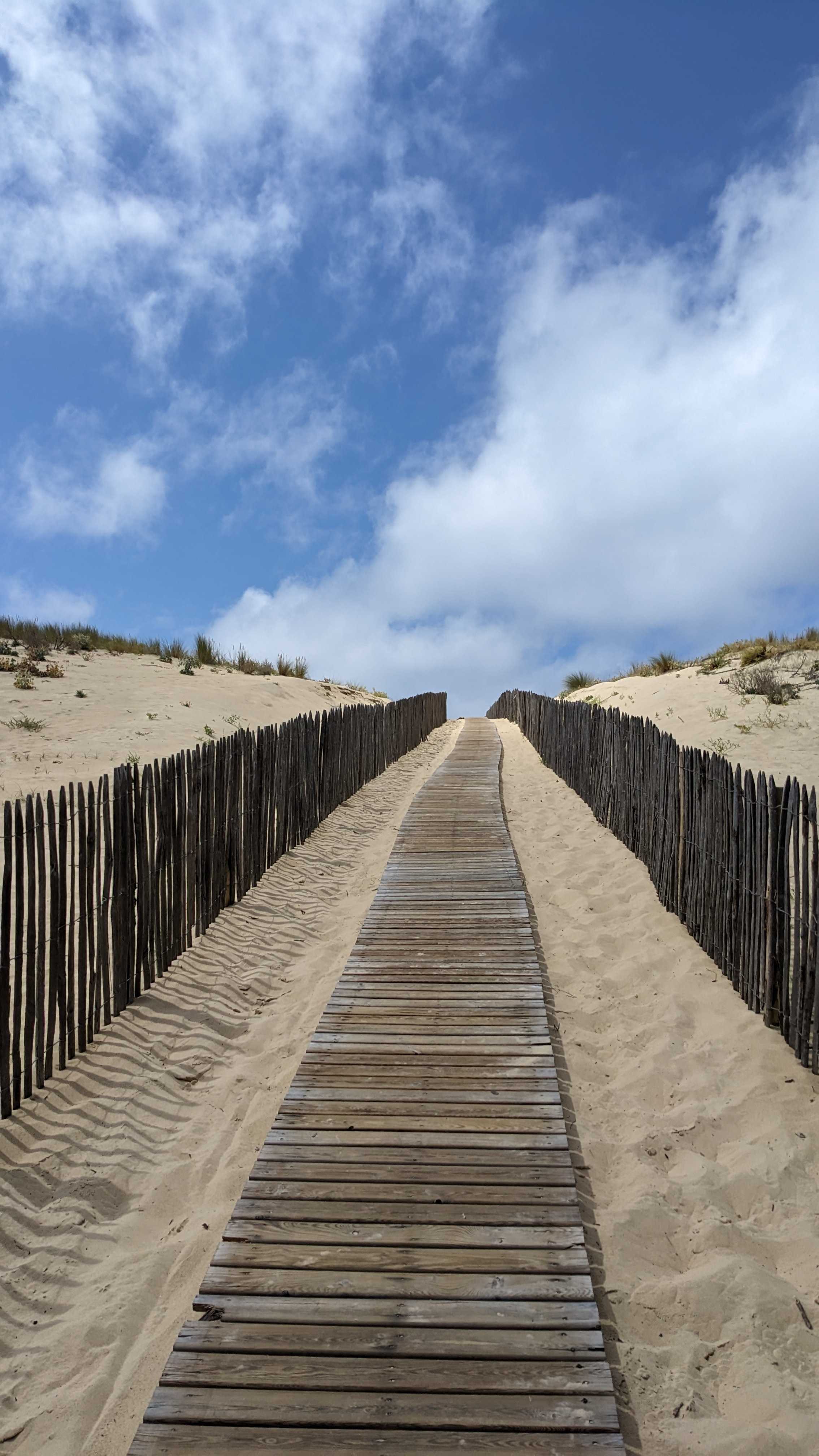 6-Week Coaching Block